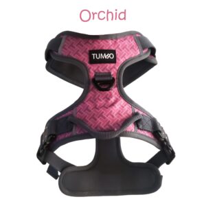 Tumbo Harness (Orchid)