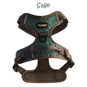 Tumbo Harness (Sage)