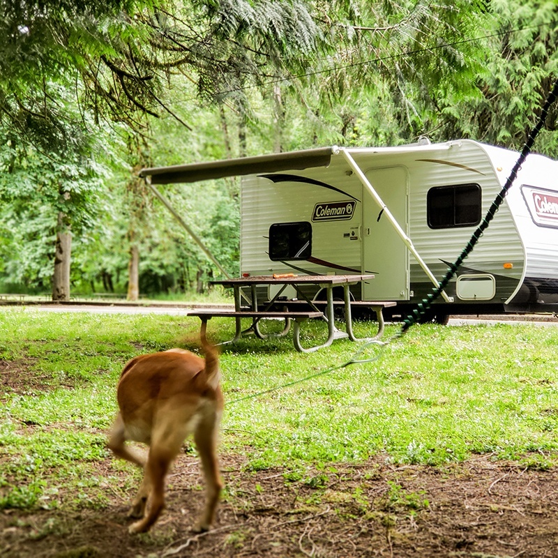 Tumbo Travel Trolley - Image 4