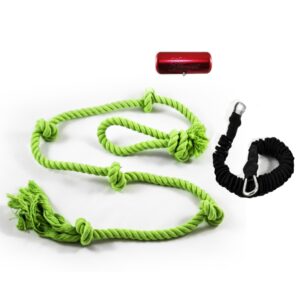 Add Companion Slinger