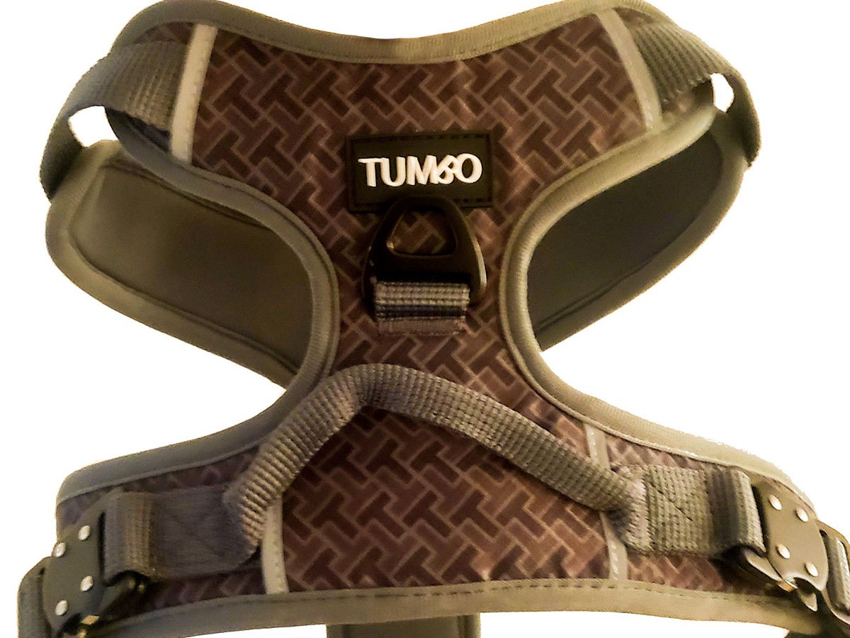 close up of tan harness