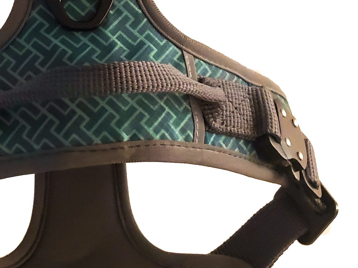 close up of teal harness