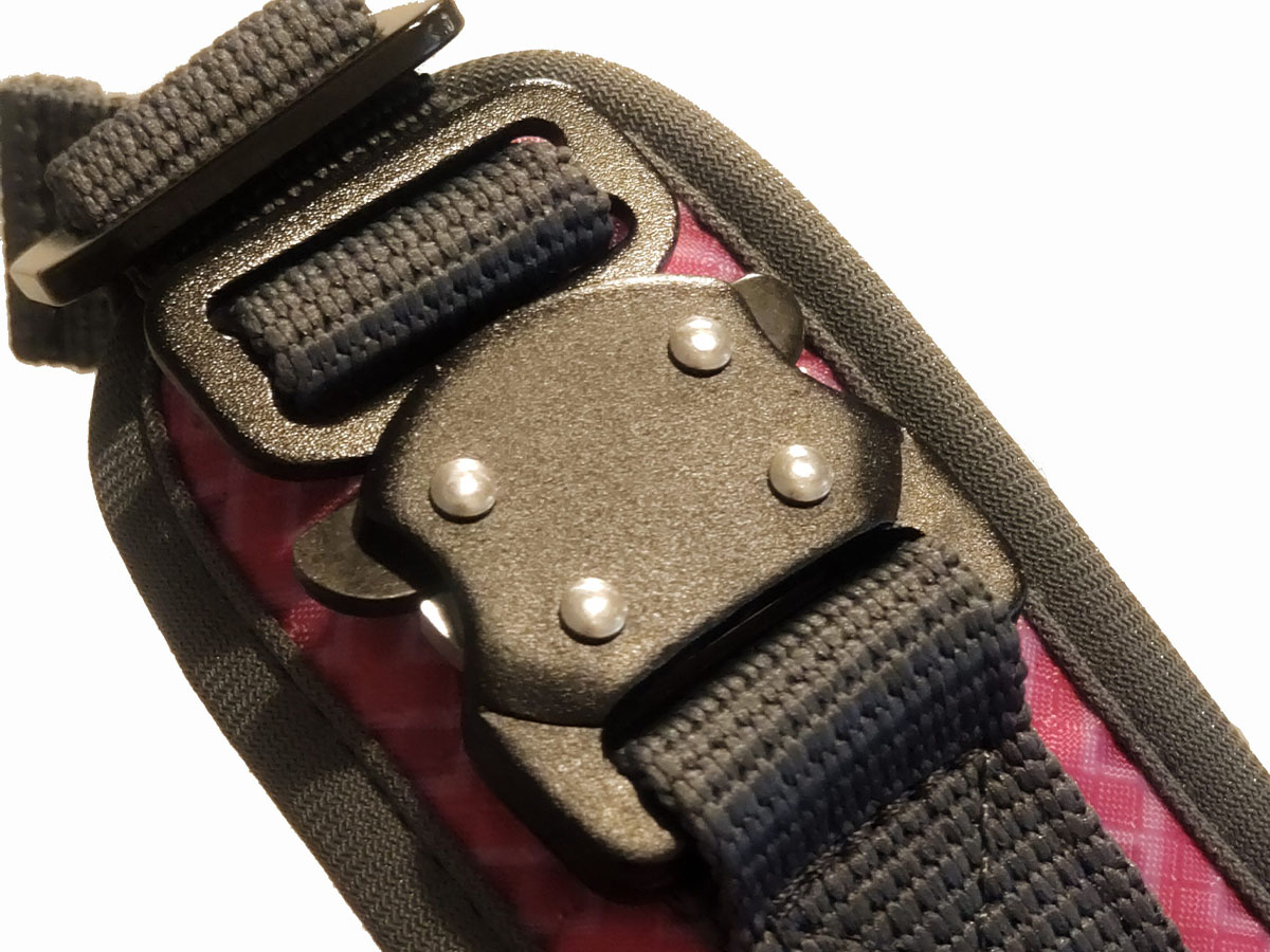close up of harness buckle