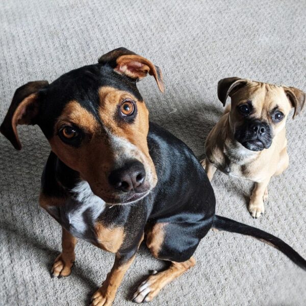 image of Dexter and Oliver
