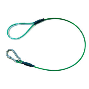 Trolley Leash with Locking Carabiner (Green)