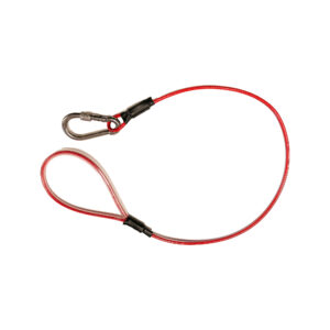 Trolley Leash with Locking Carabiner (Red)
